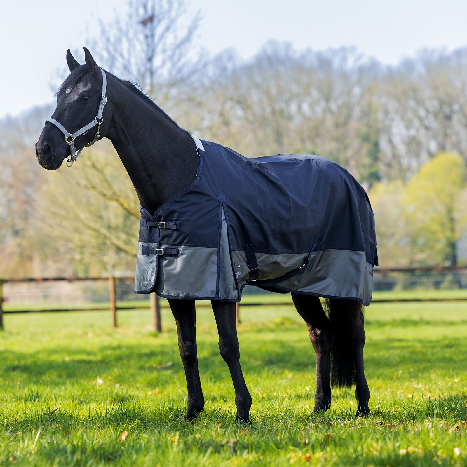 EQUEST Outdoordecke Titan 50g auf der Weide – robuste Weidedecke 1680 Denier