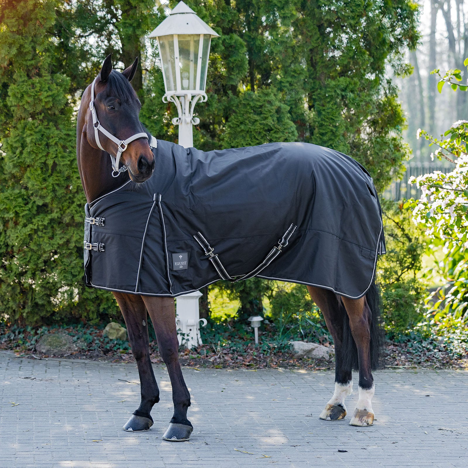 EQUEST Outdoordecke Titan 300 g