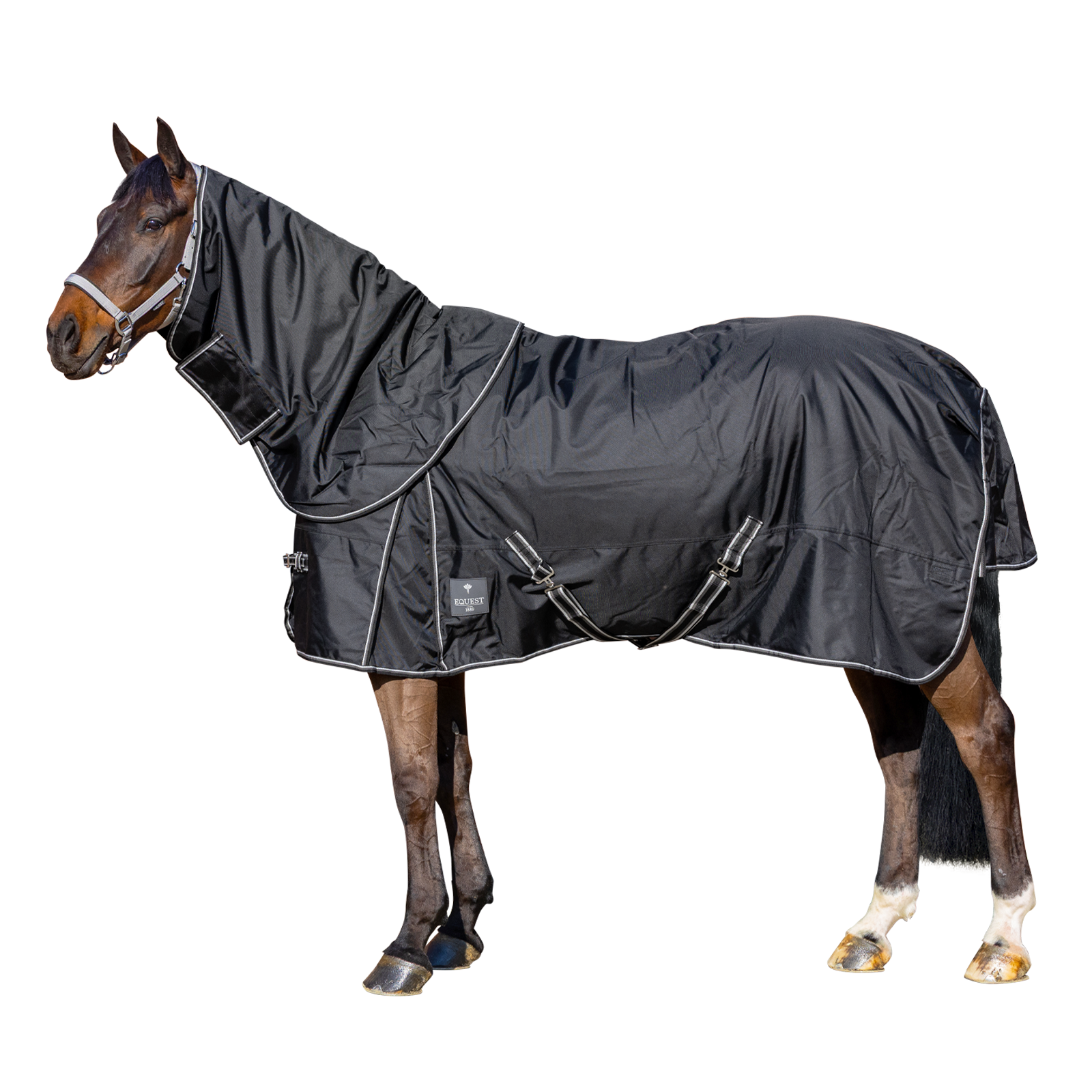 EQUEST Outdoordecke Titan 300 g