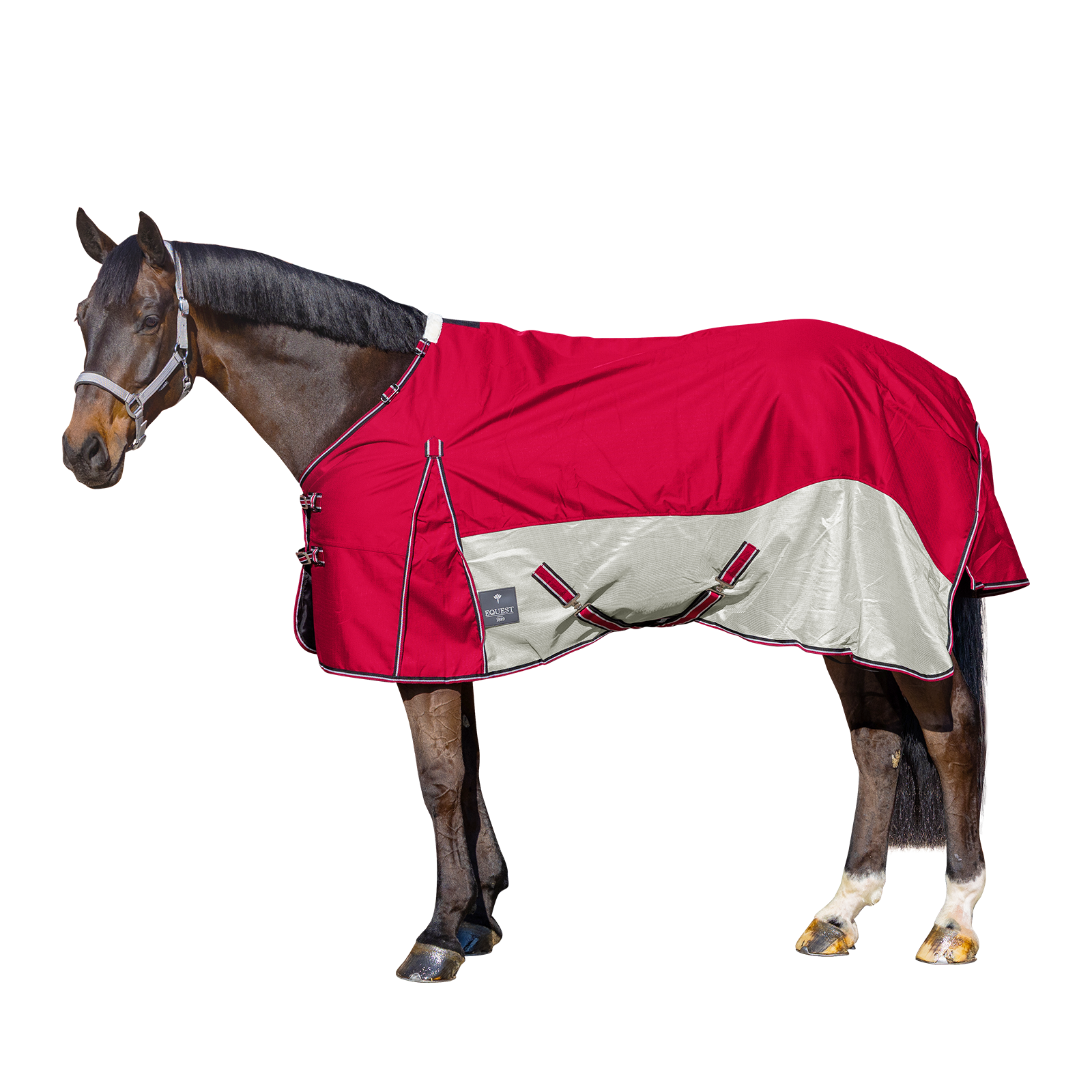 EQUEST Sommerdecke Breeze Hybriddecke Pferd Weide