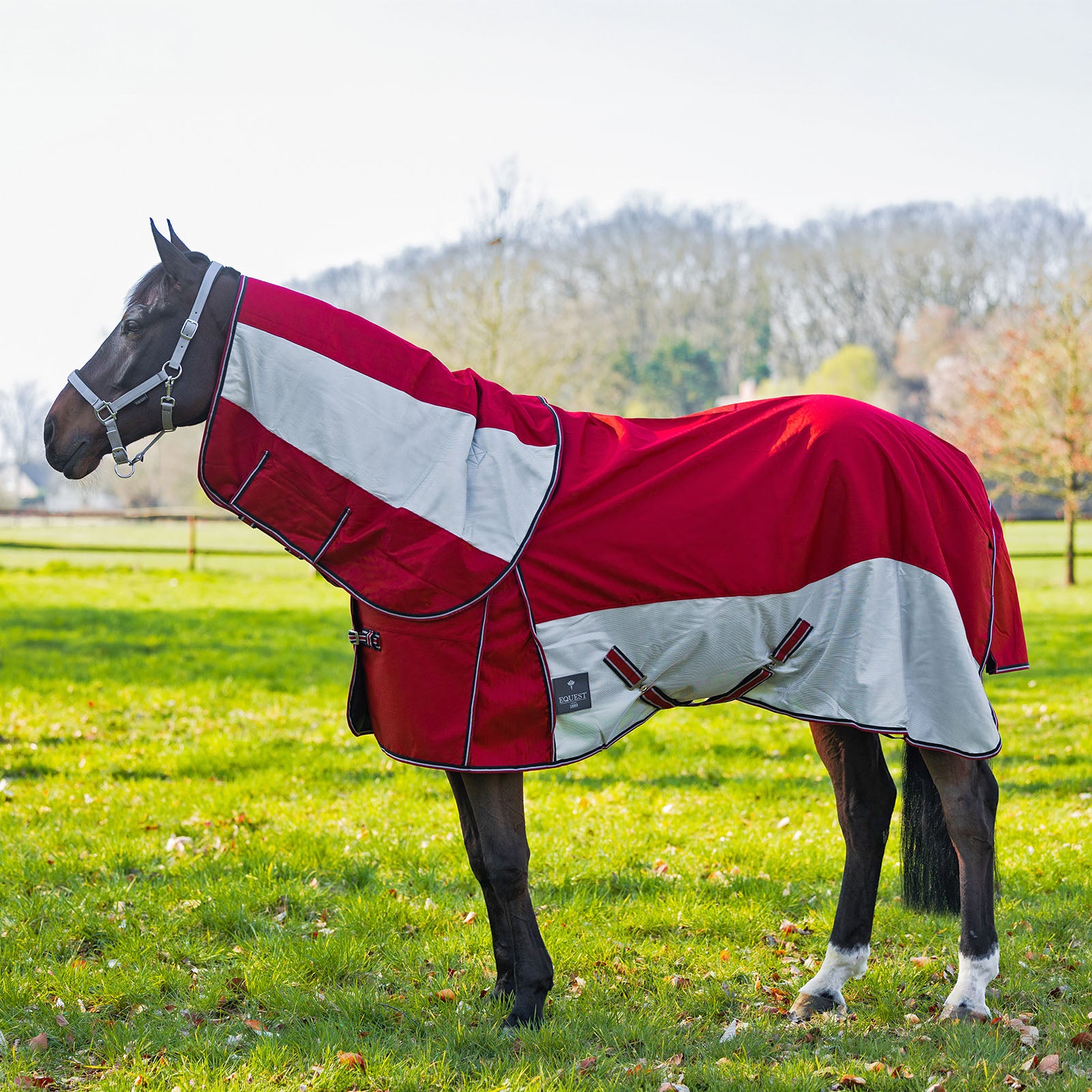EQUEST Sommerdecke Breeze Hybriddecke Pferd Weide