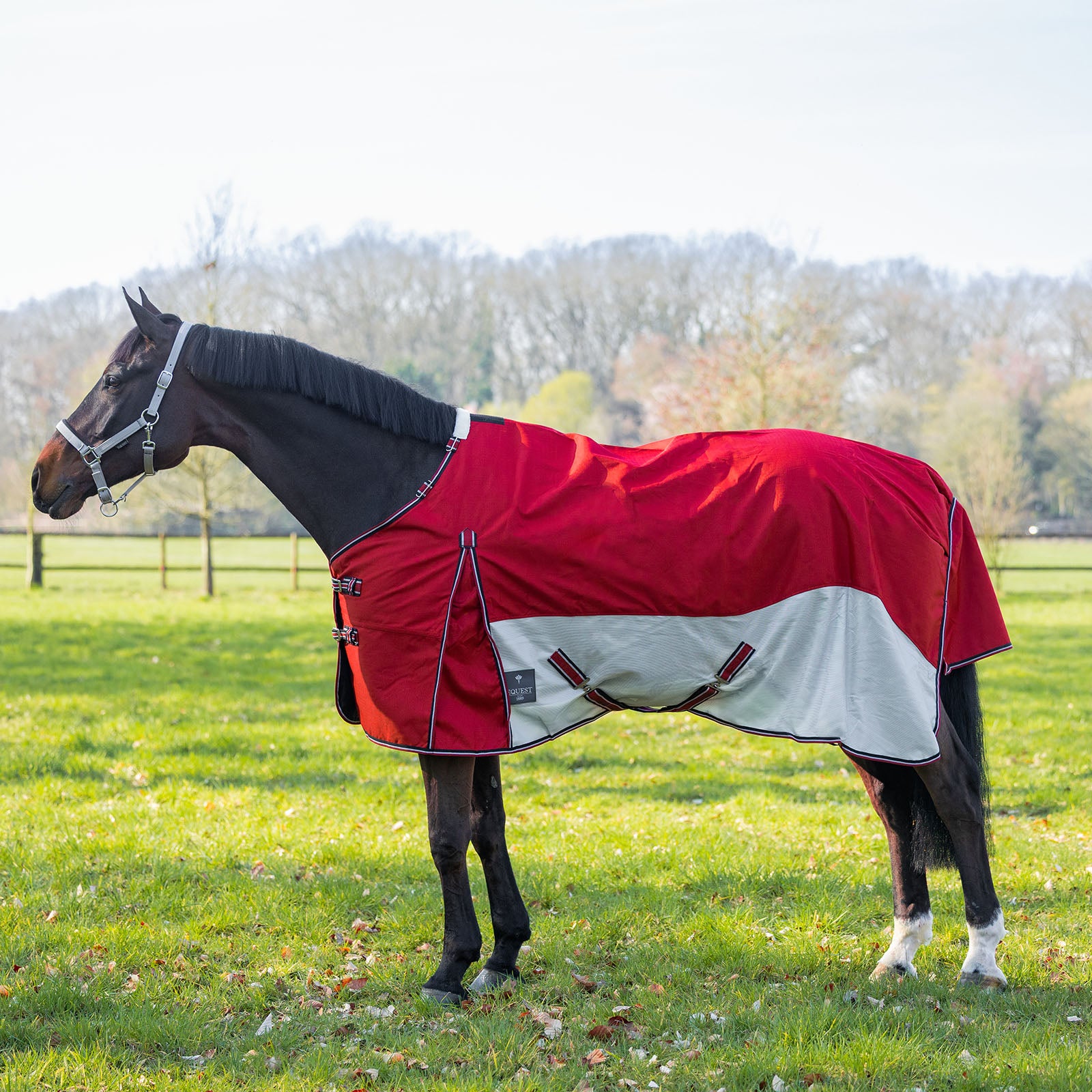 EQUEST Sommerdecke Breeze Hybriddecke Pferd Weide