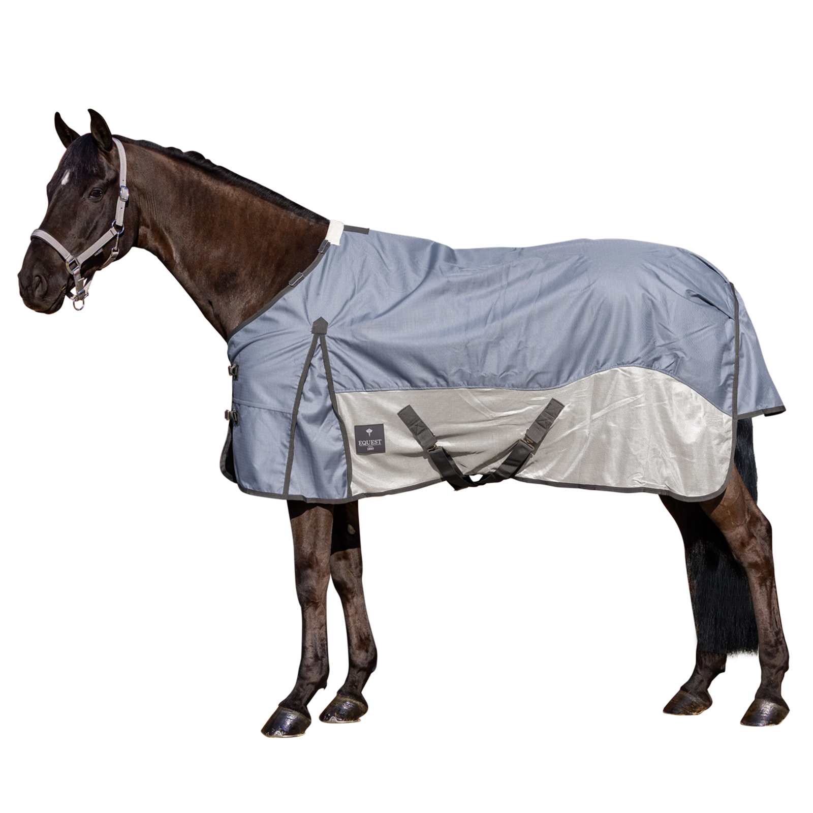 EQUEST Sommerdecke Breeze Light Blue