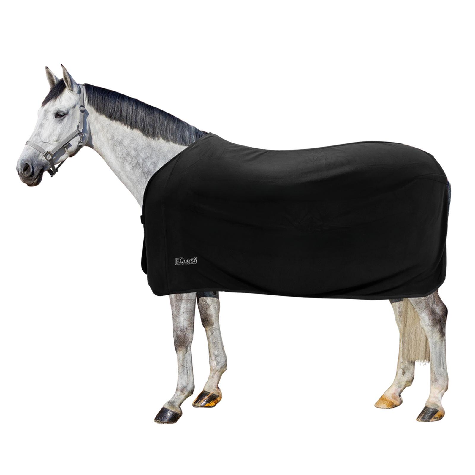 EQUEST Micro Fleece Blanket Parade