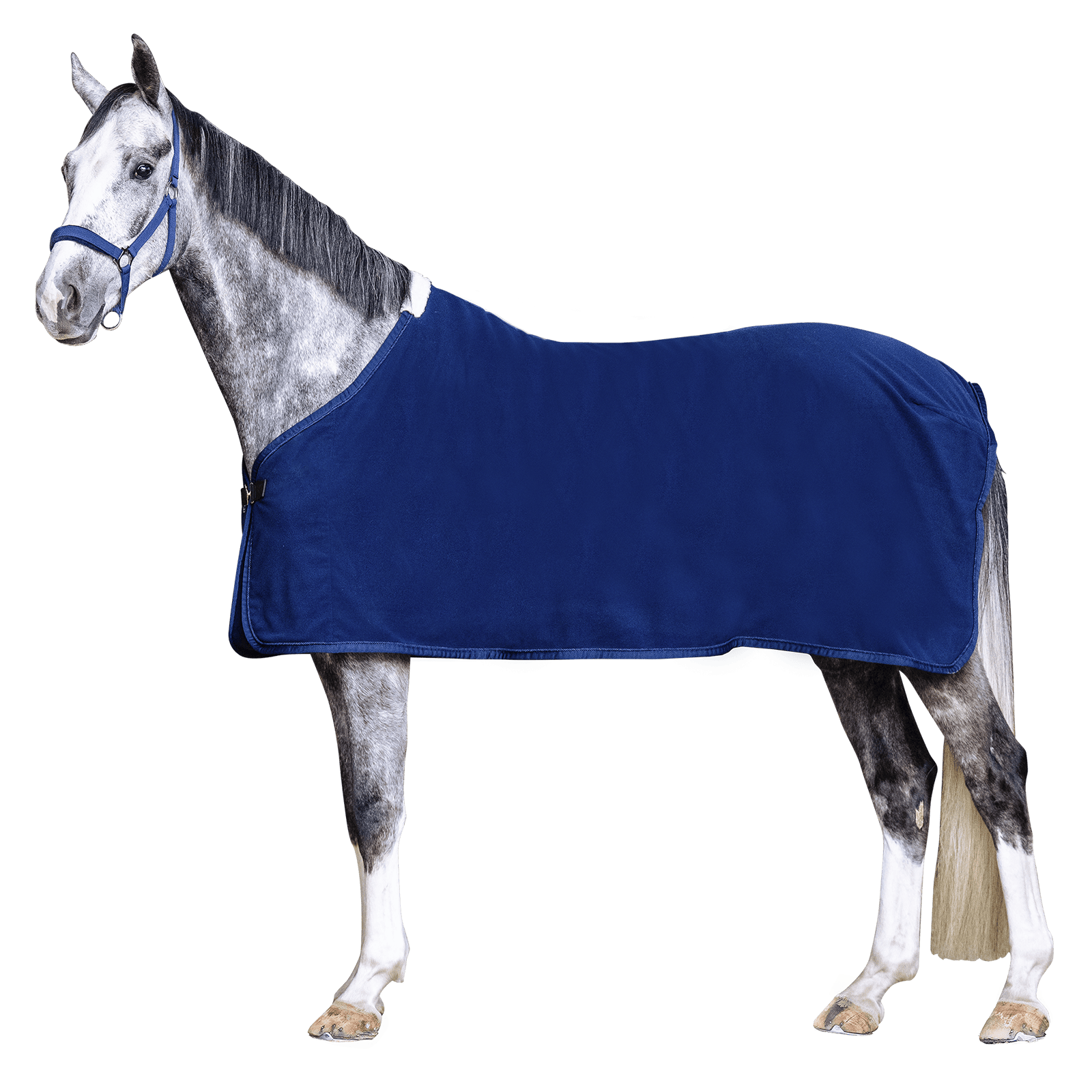 EQUEST Double Coated Fleece Decke Regular + Cord - EQUEST by Hoelscher