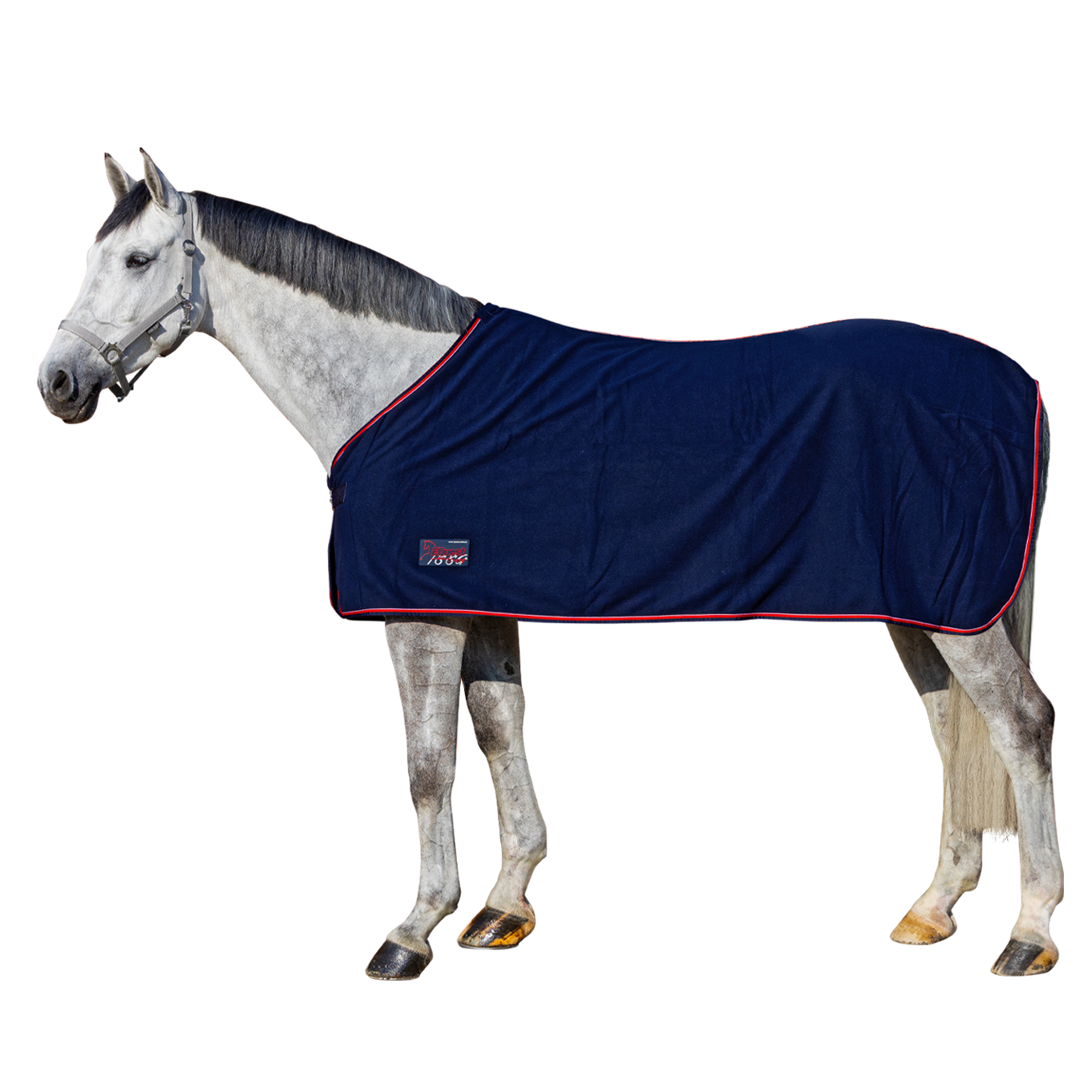 EQUEST blanket fleece Act-Line Regular