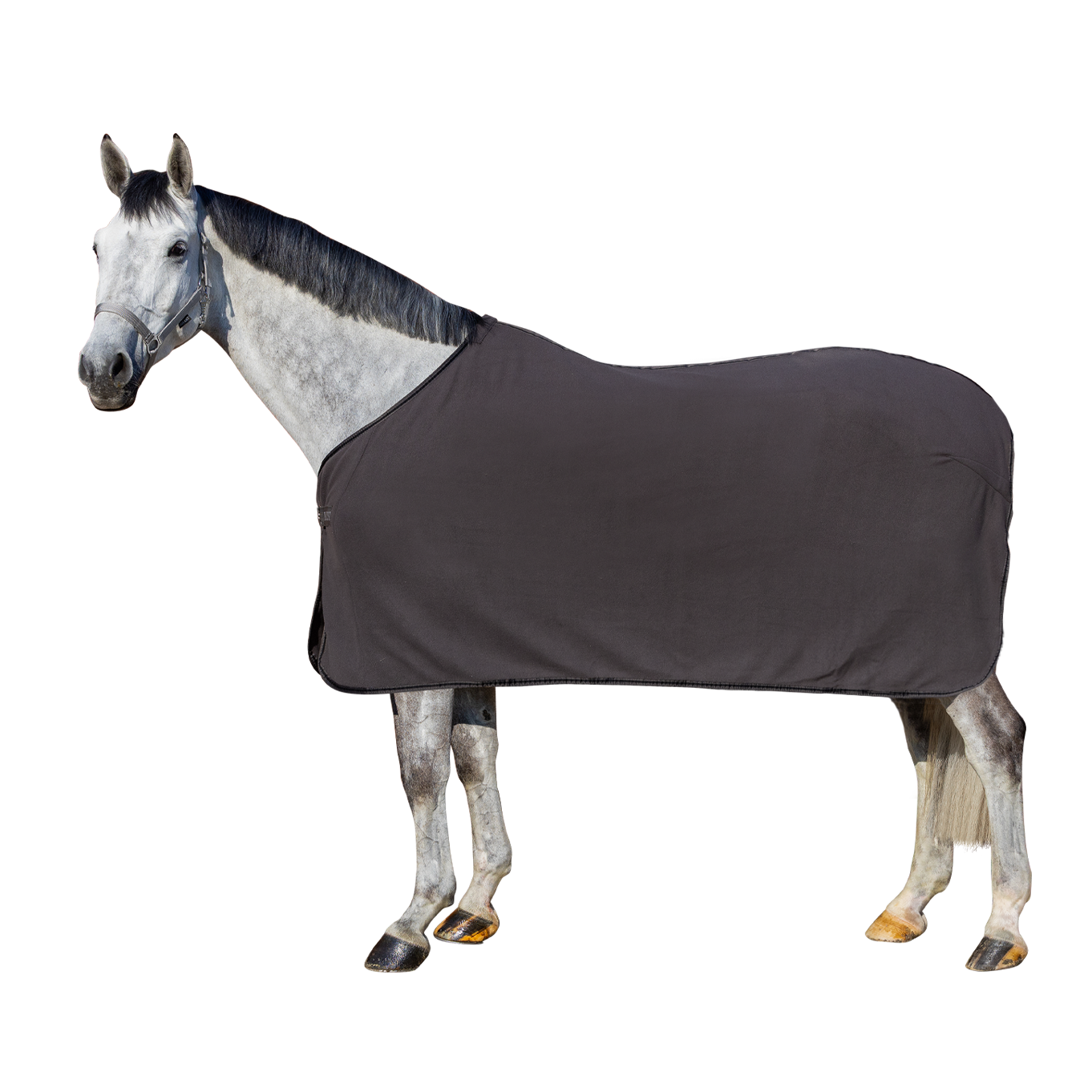 EQUEST Decke Fleece Act-Line Parade