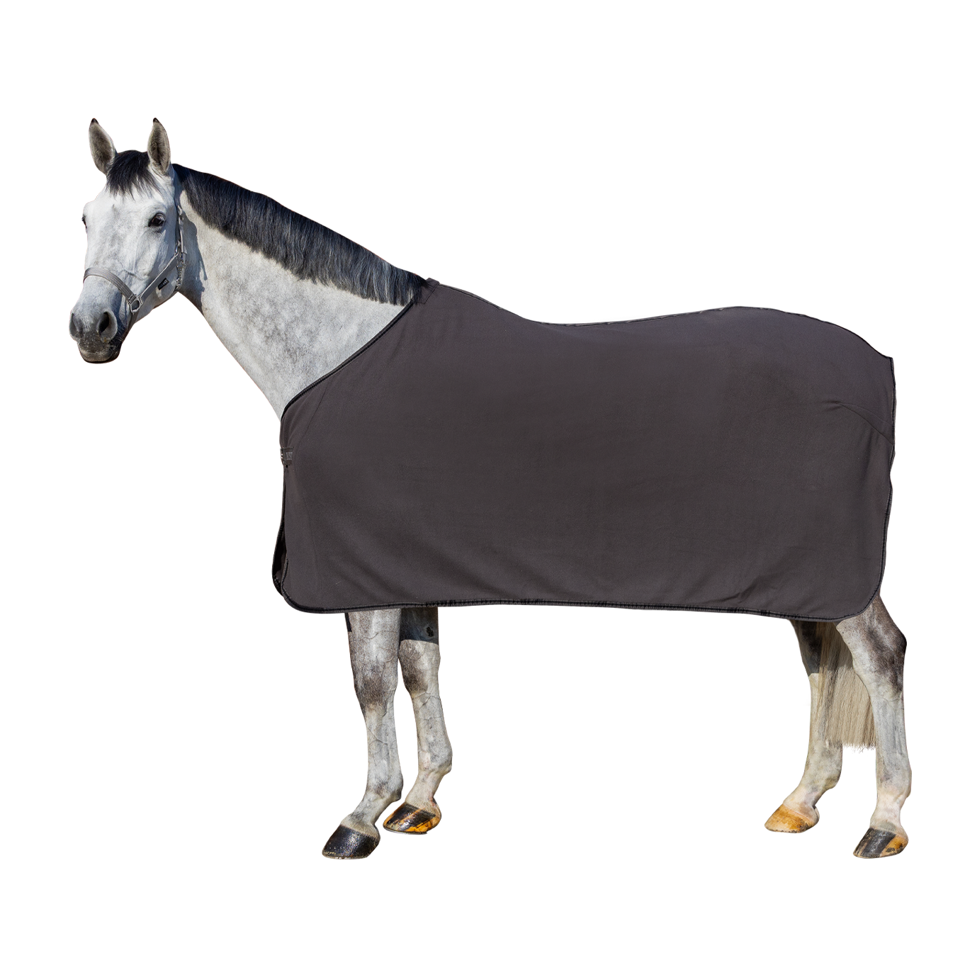EQUEST Blanket Fleece Act-Line Parade