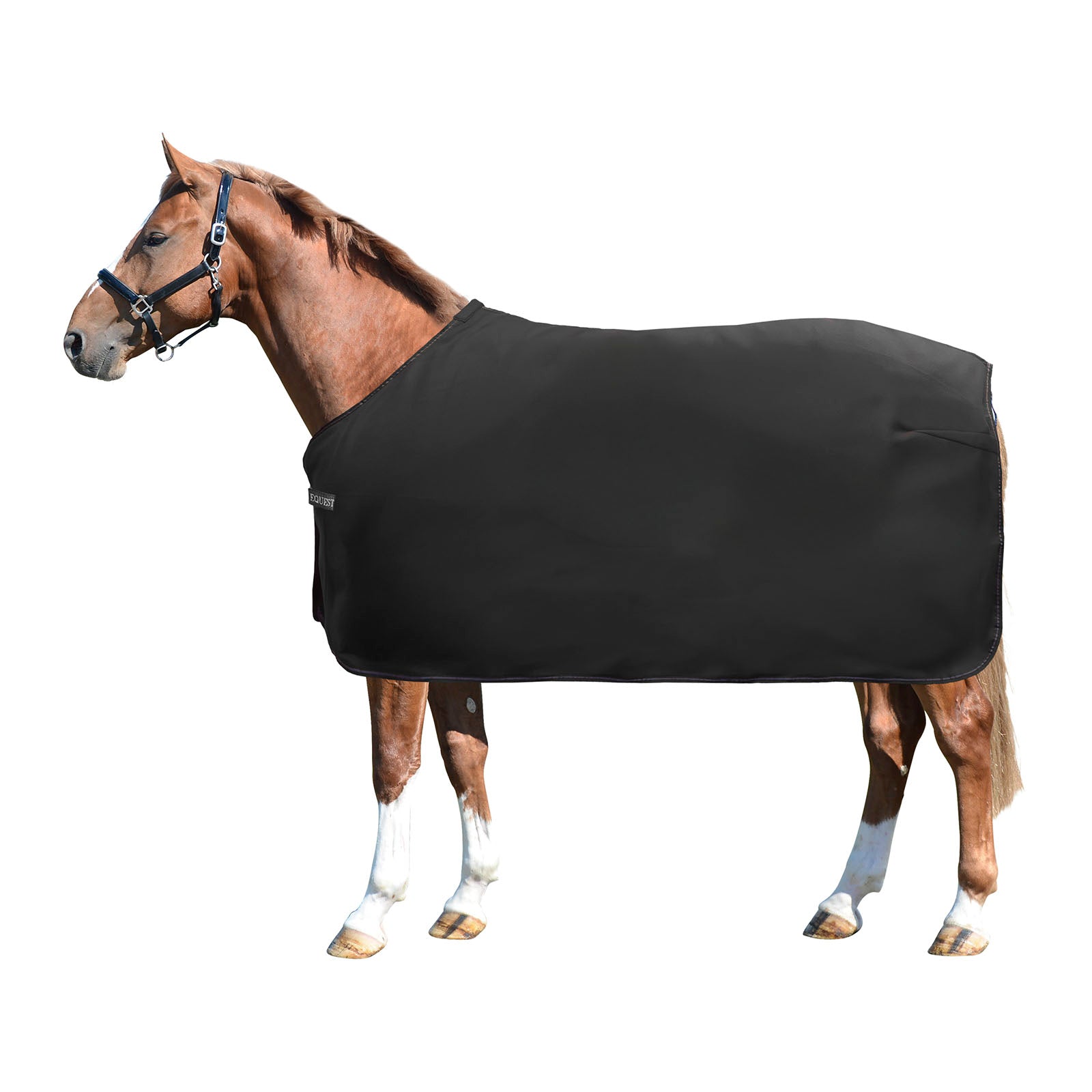 EQUEST Decke Fleece Act-Line Parade