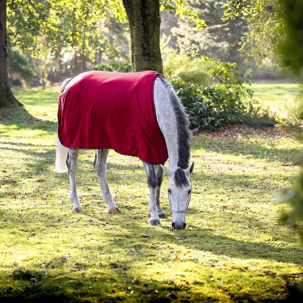 EQUEST Act-Line Fleece Rug Parade