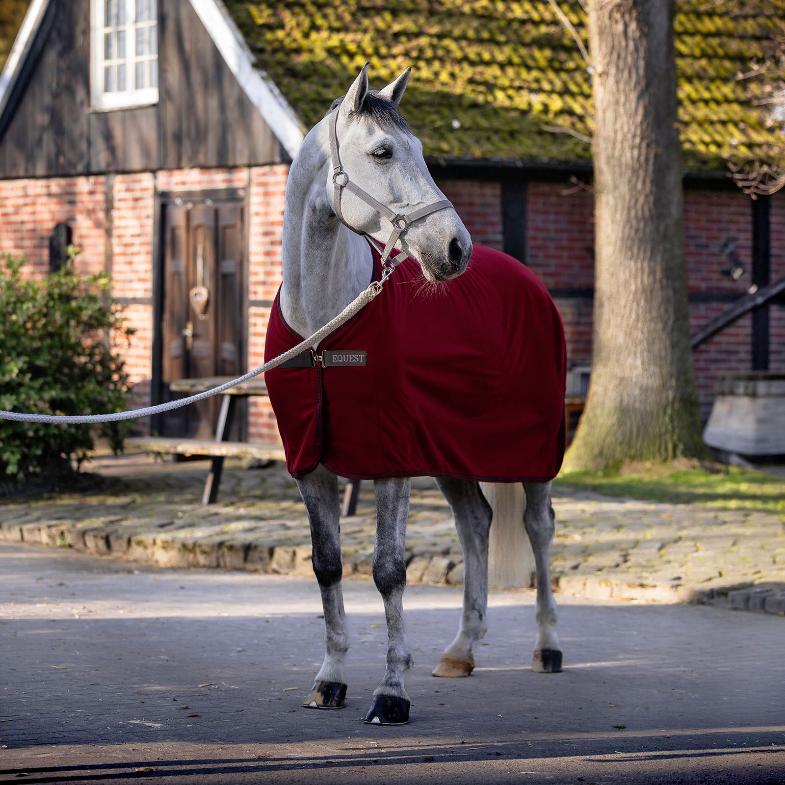 EQUEST Decke Fleece Act-Line Parade