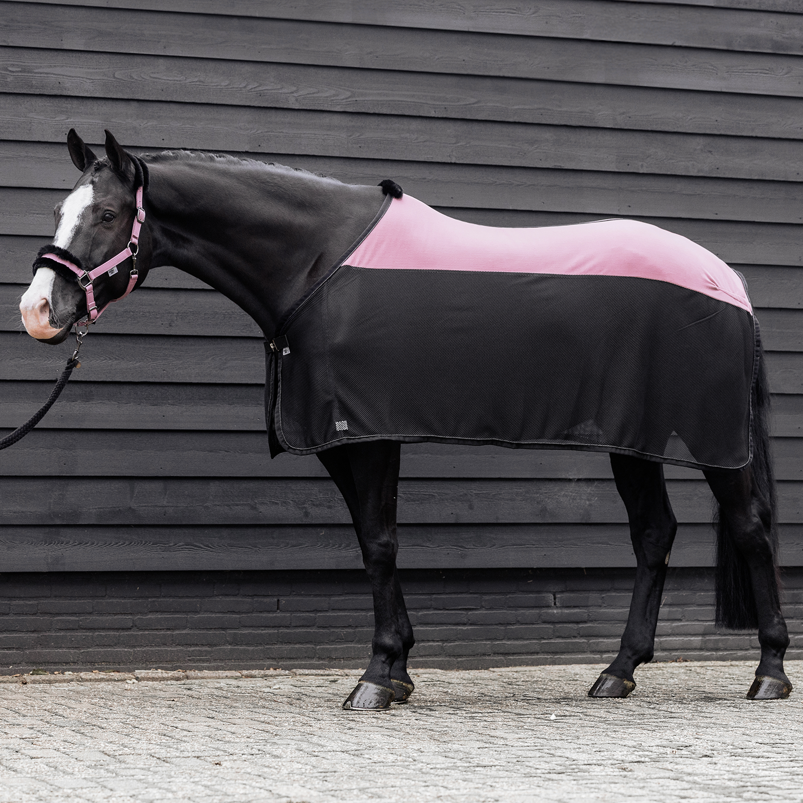 EQUEST Fliegendecke Fly Premium BiColor + Cord