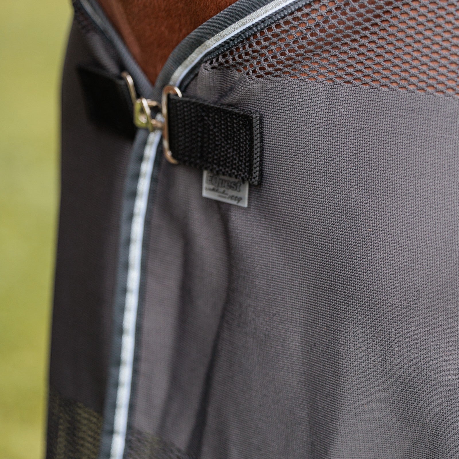 EQUEST Fliegendecke Fly Champion