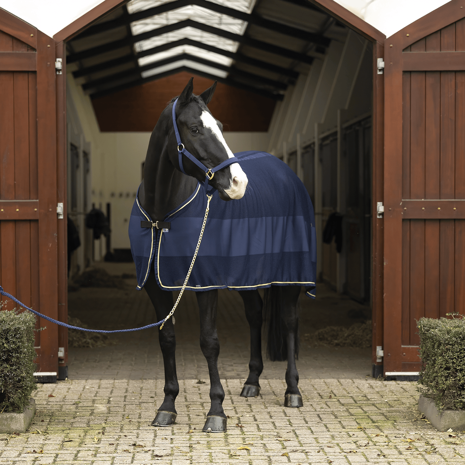 EQUEST Fliegendecke Fly Champion + Cord - EQUEST by Hoelscher