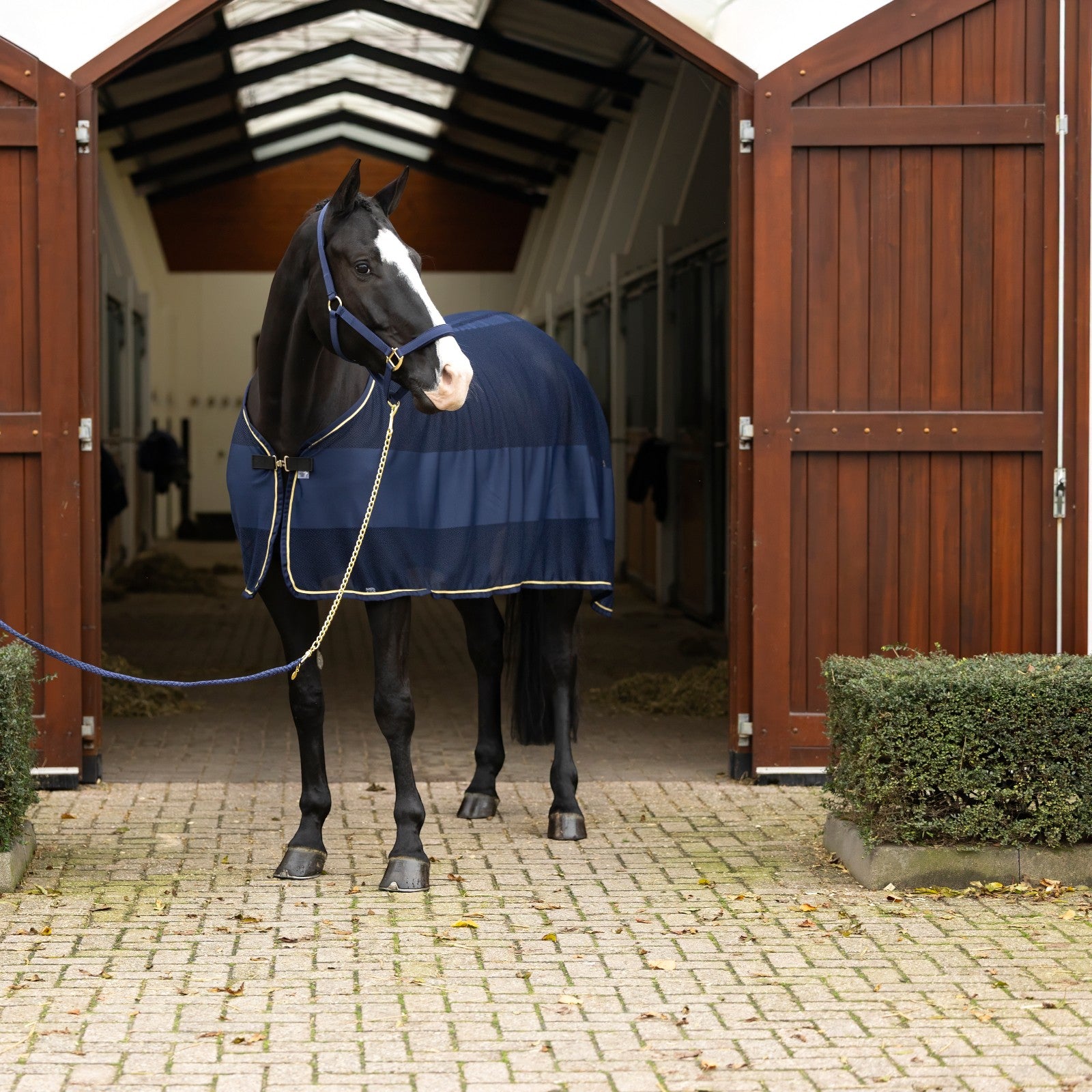 EQUEST Lead Rein Ultimo