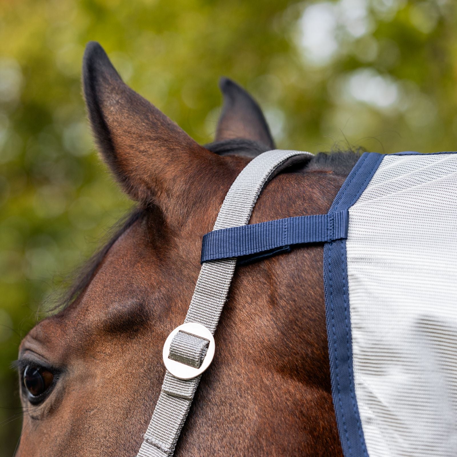 EQUEST Decke AntiFly Pro inkl. Halsteil