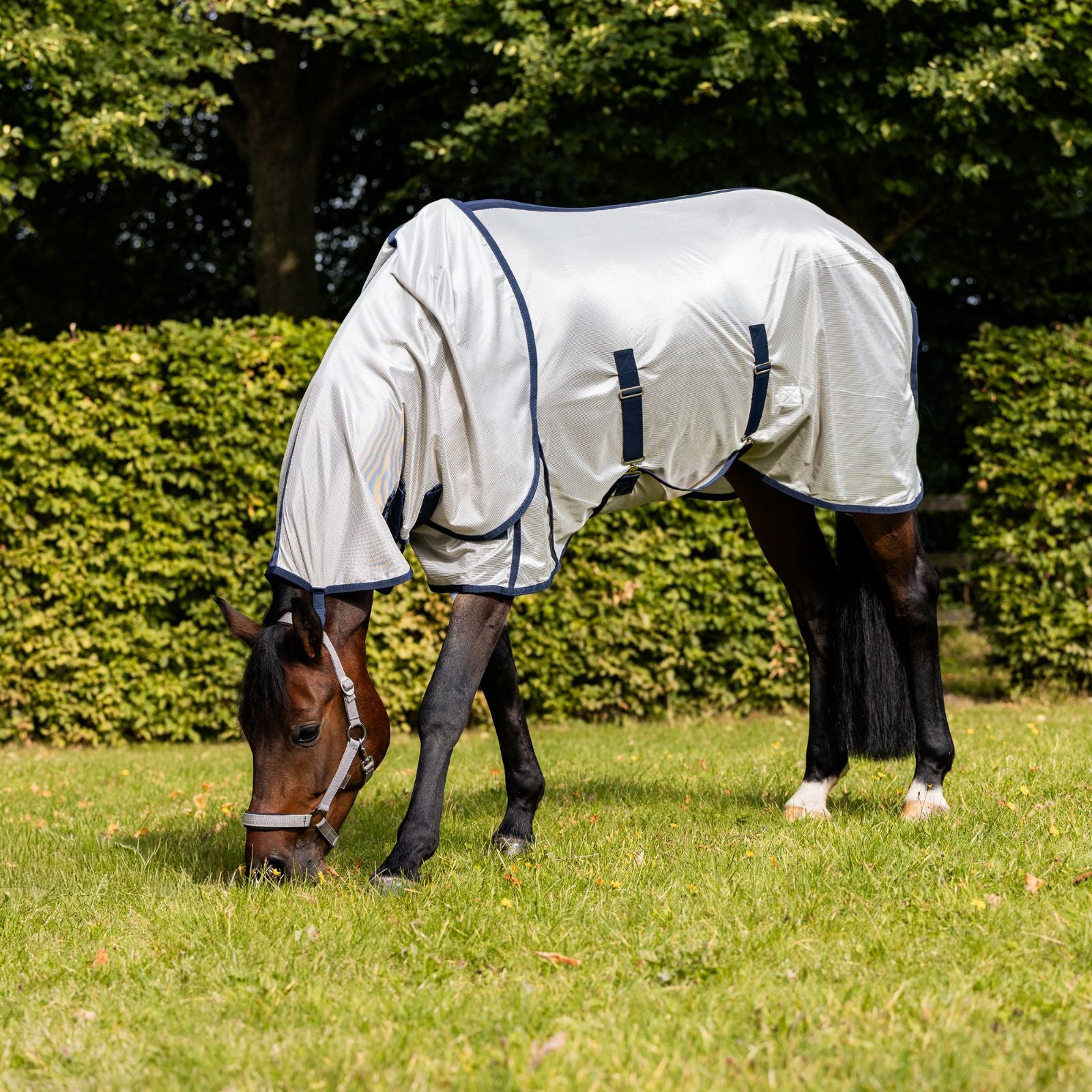 EQUEST Decke AntiFly Pro inkl. Halsteil
