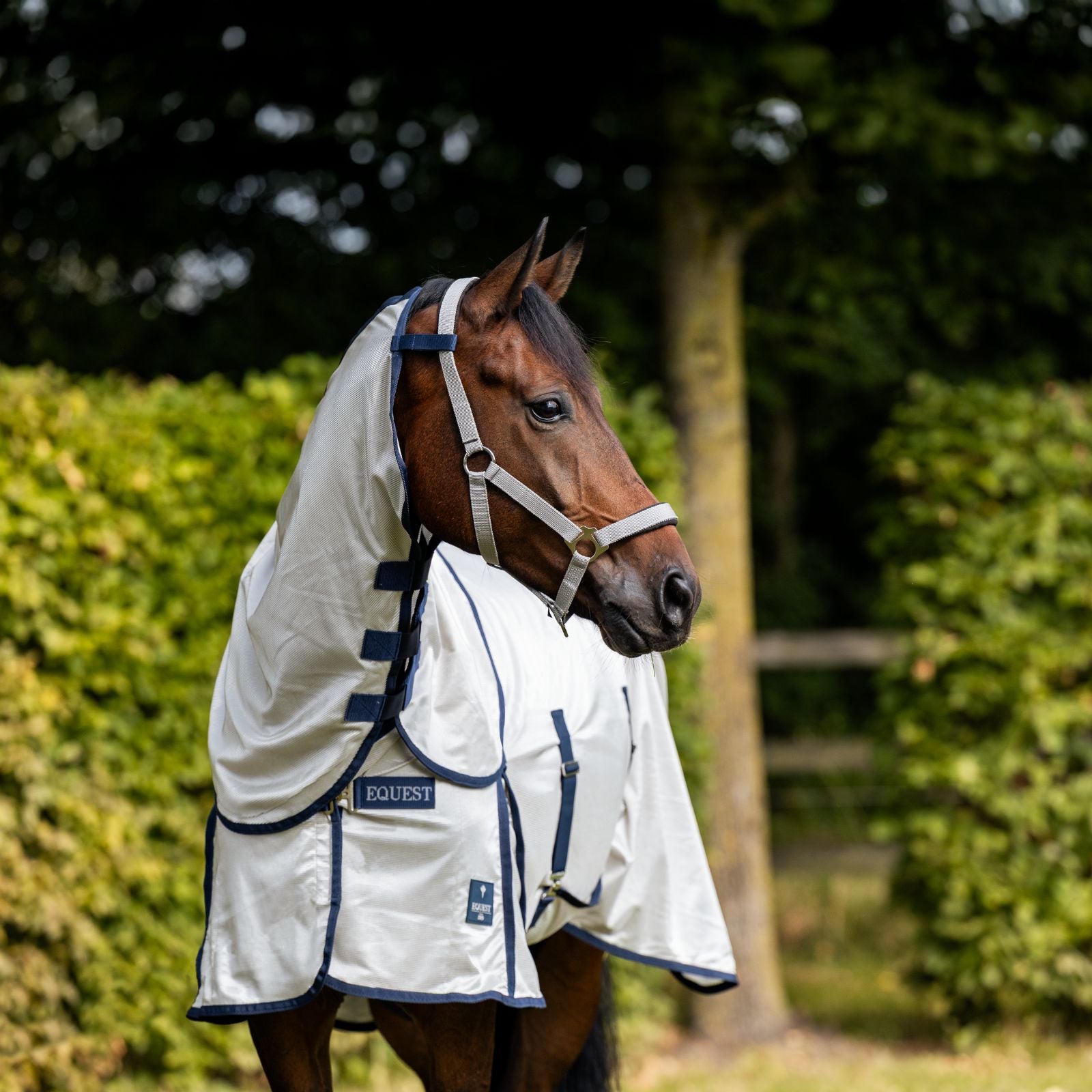 EQUEST Decke AntiFly Pro inkl. Halsteil