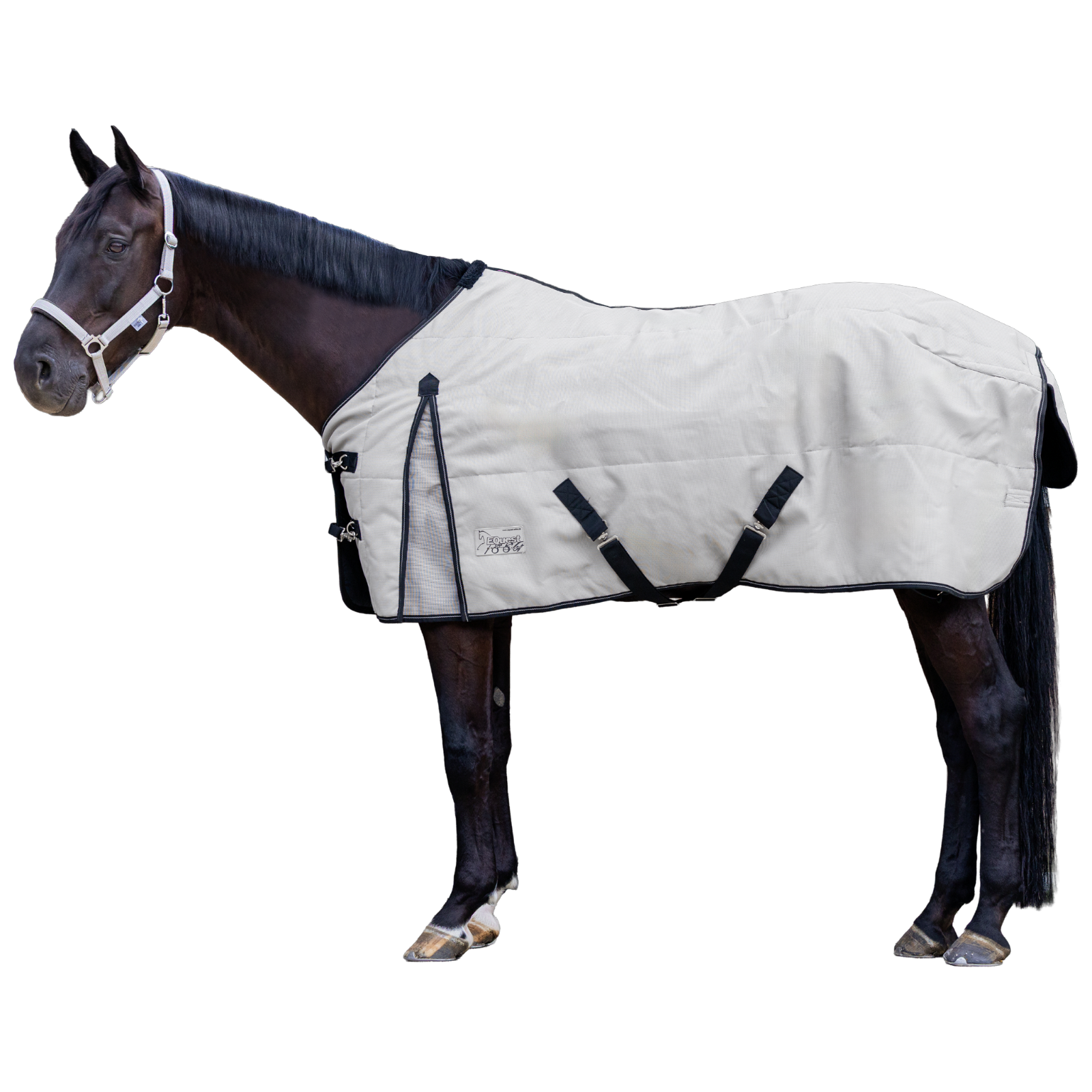 EQUEST Stalldecke Latex