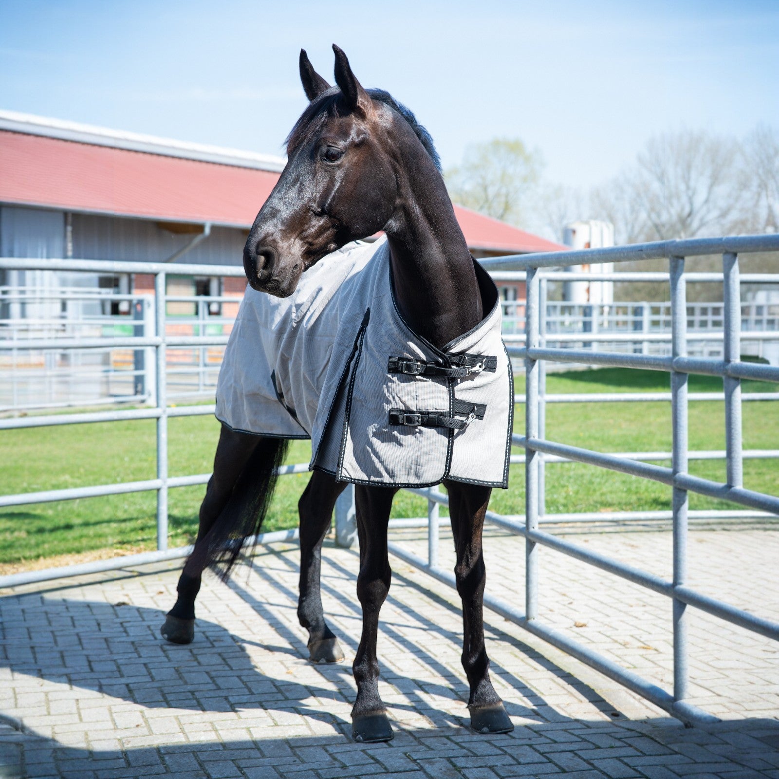 EQUEST Stalldecke Latex