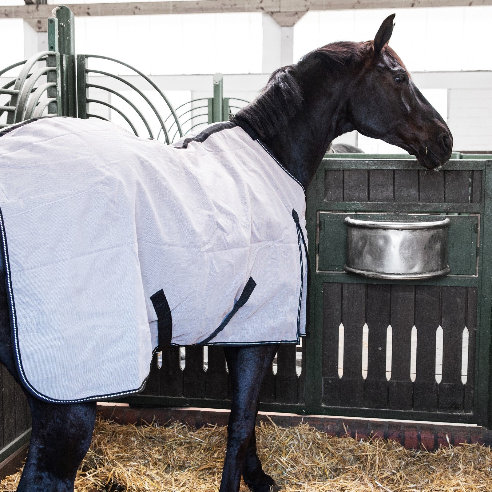 EQUEST Stalldecke Latex