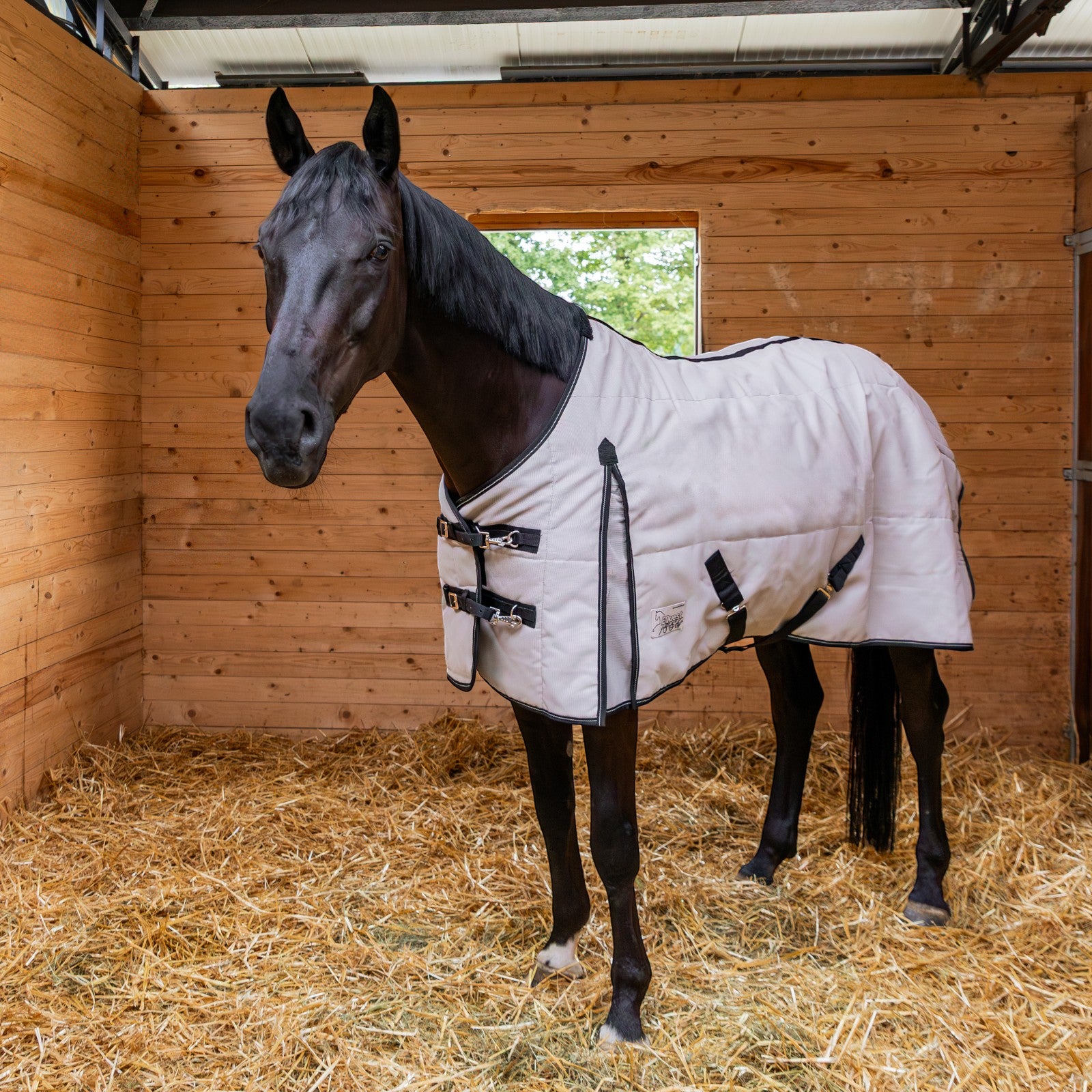 EQUEST Stalldecke Latex