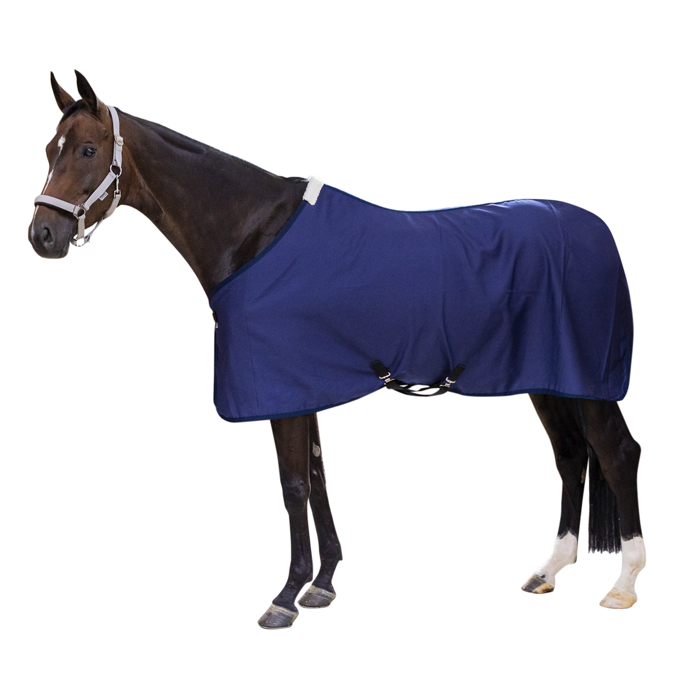 EQUEST Summer Sheet Cotton with Cross Surcingles
