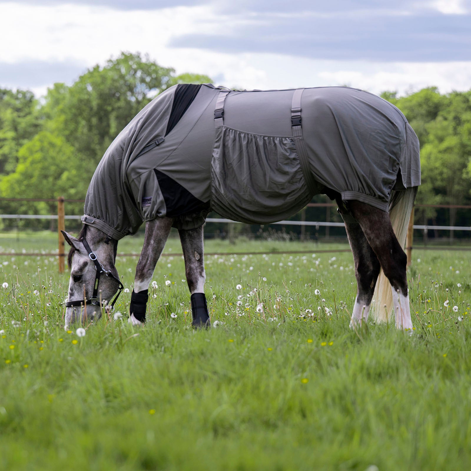 EQUEST Ekzemer Decke Culex C³ inkl. Maske