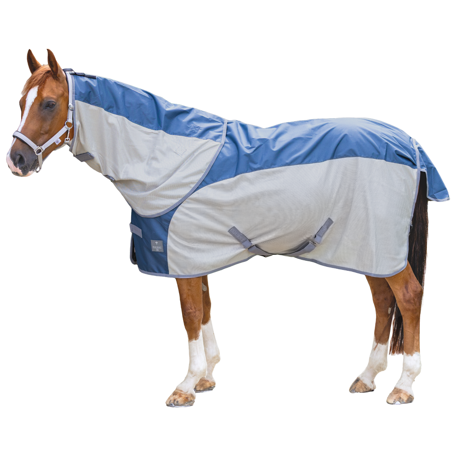 EQUEST Hybrid Decke inkl. Halsteil