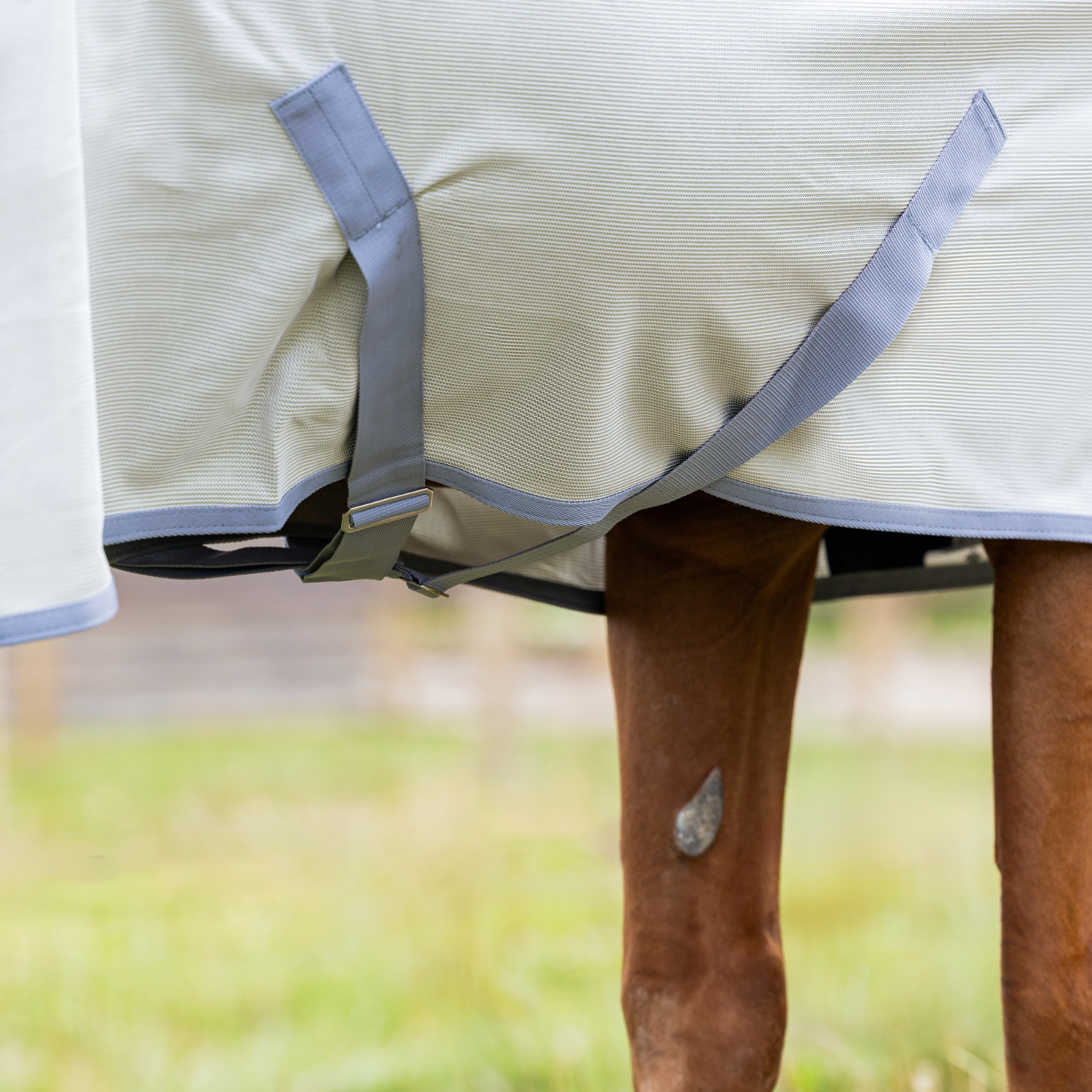 EQUEST Hybrid Blanket including neck piece