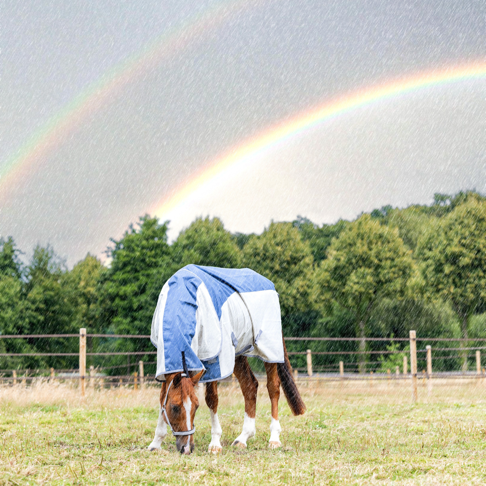 EQUEST Hybrid Decke inkl. Halsteil