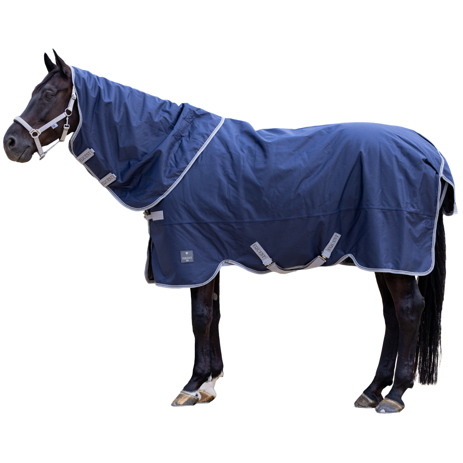 EQUEST Dynamic Decke inkl. Halsteil (abnehmbar)