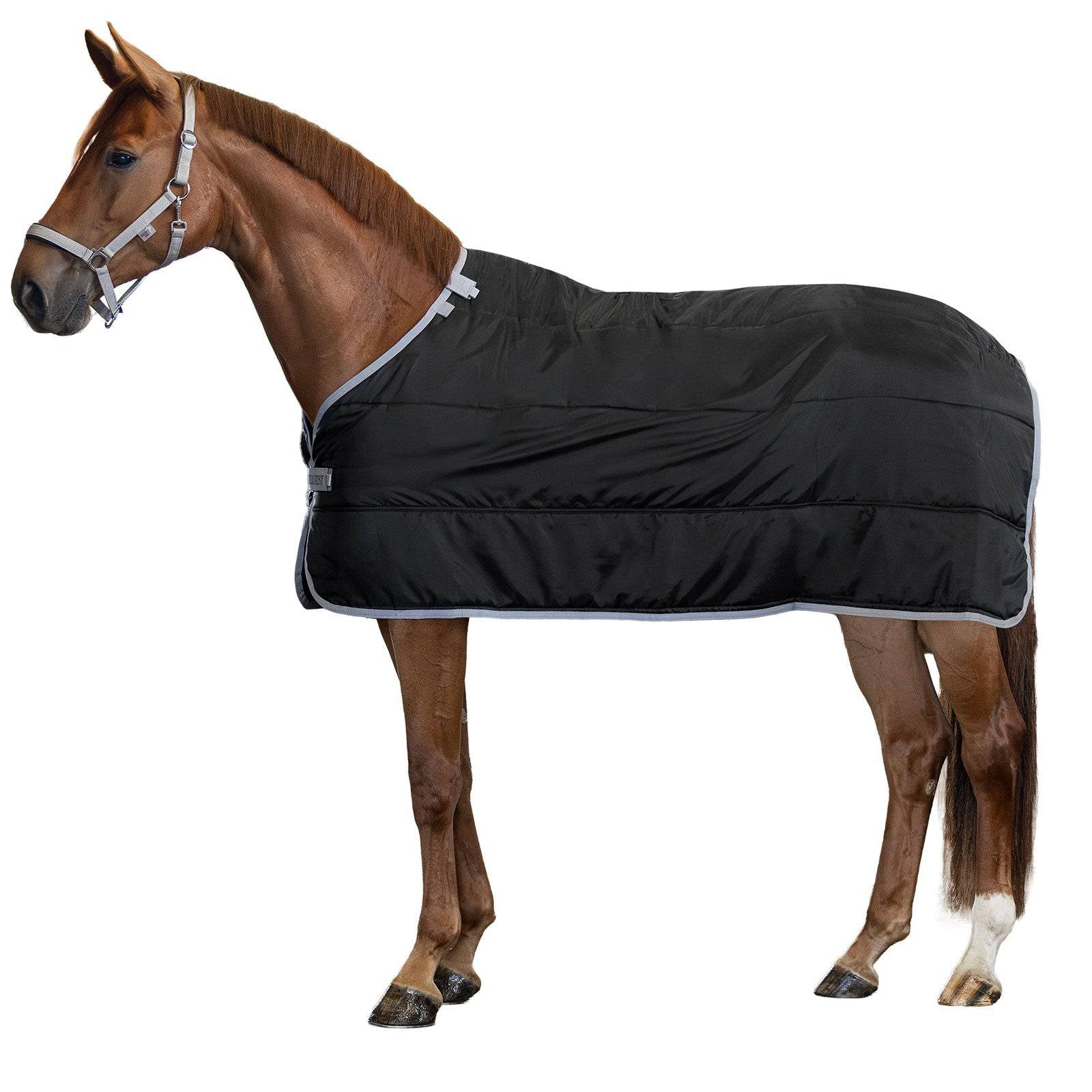EQUEST 100g Unterdecke - EQUEST by Hoelscher