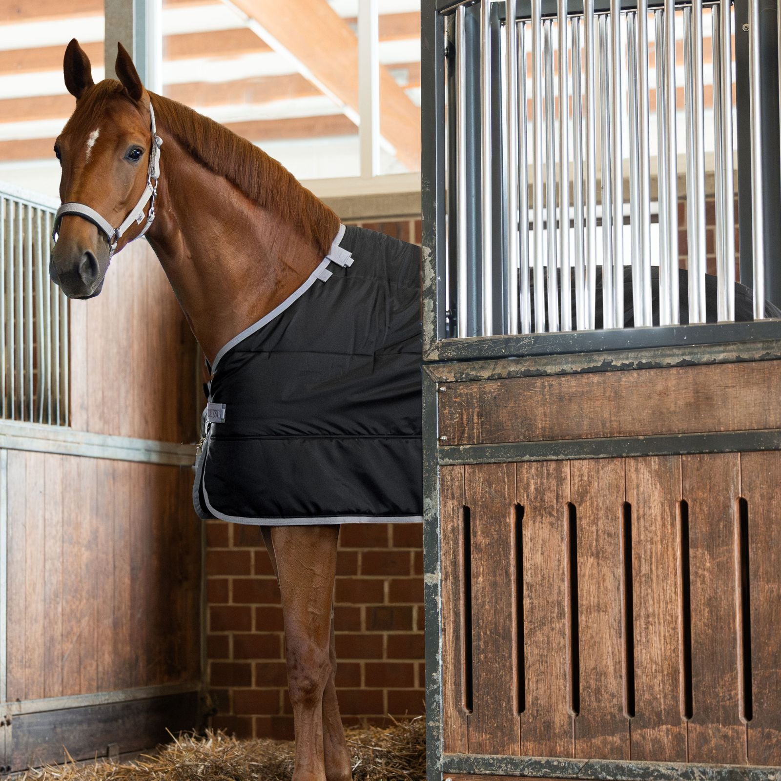 EQUEST 100g Unterdecke