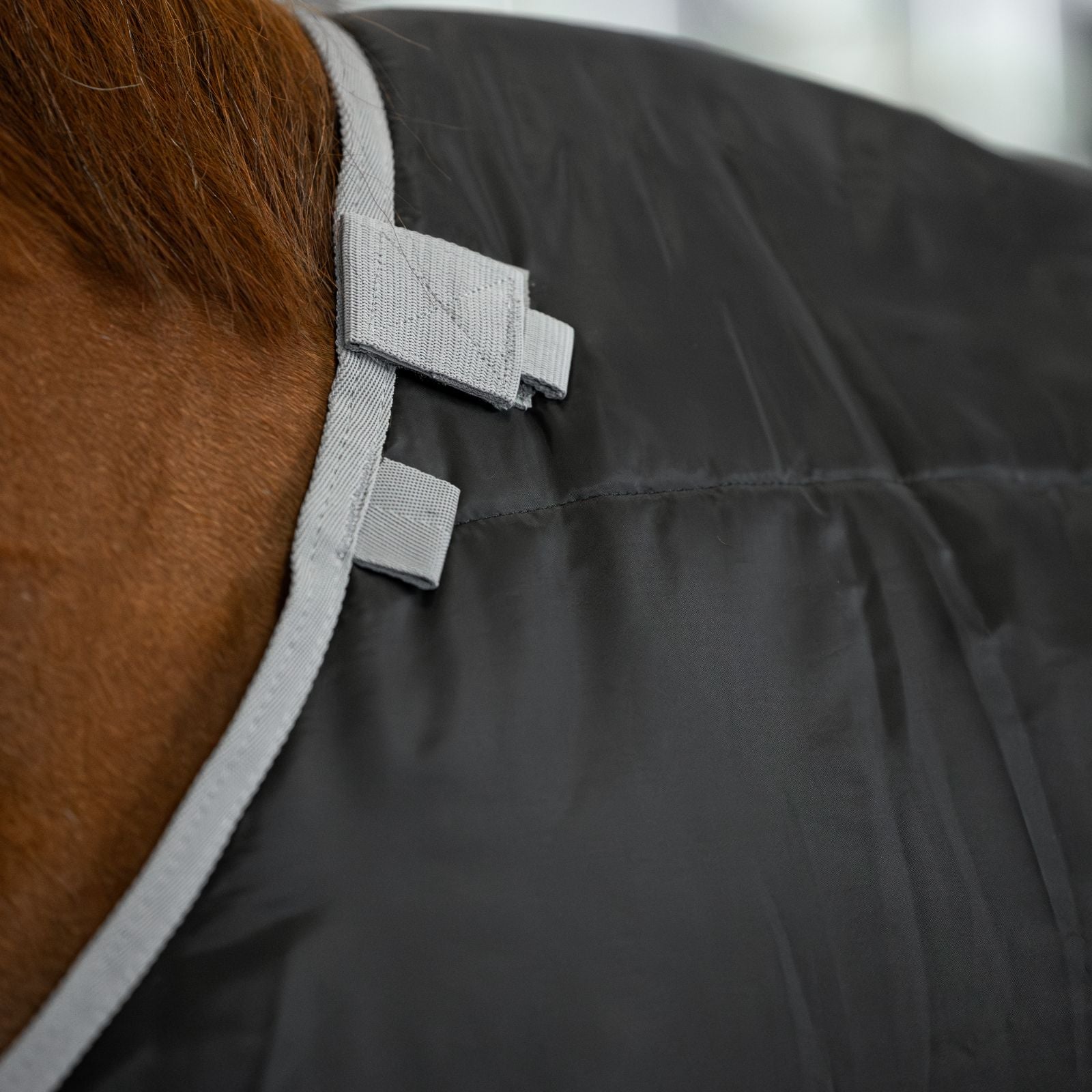 EQUEST 100g underblanket