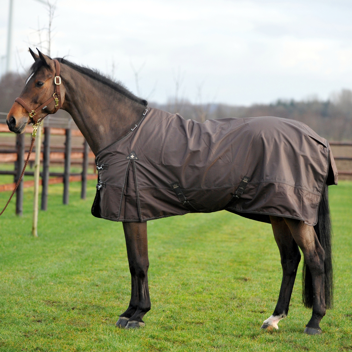 EQUEST Ontario Rain Turnout Rug with Fleece Lining | Mocha