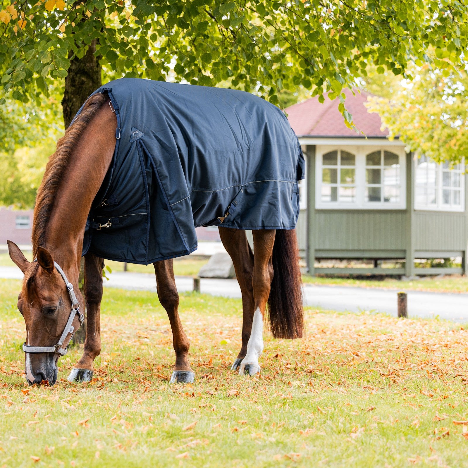 EQUEST Outdoordecke Ontario II