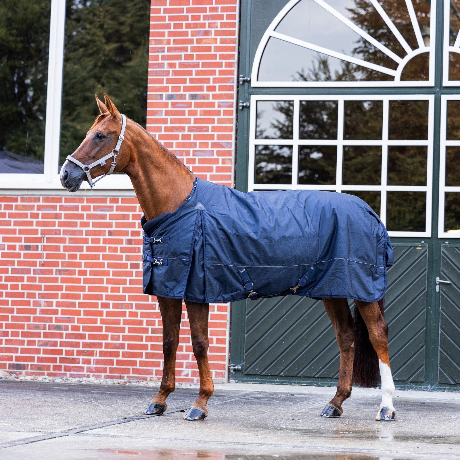 EQUEST Outdoordecke Ontario II