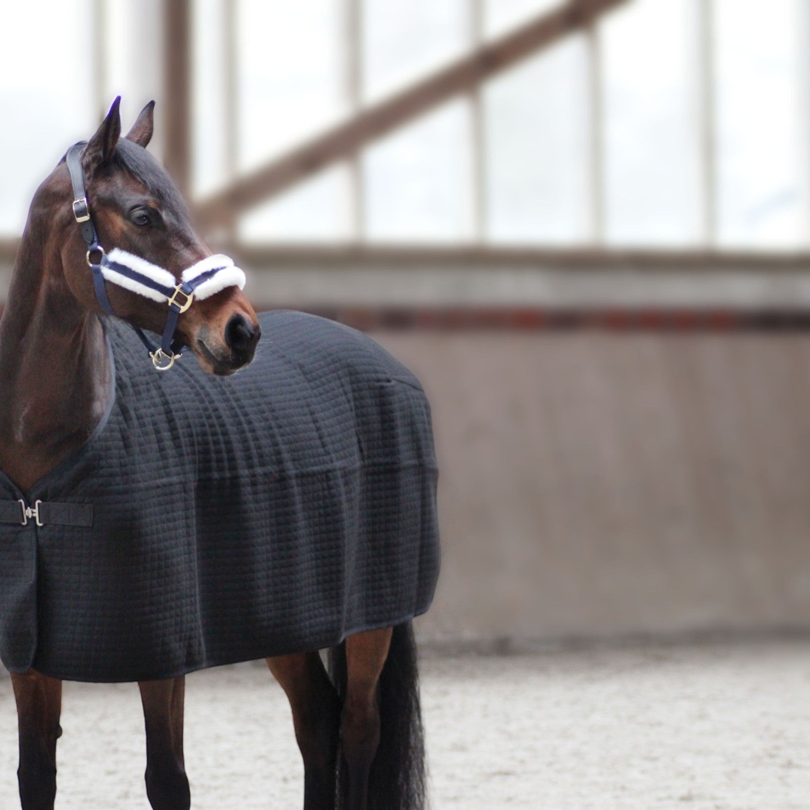 EQUEST Decke Climatherm III