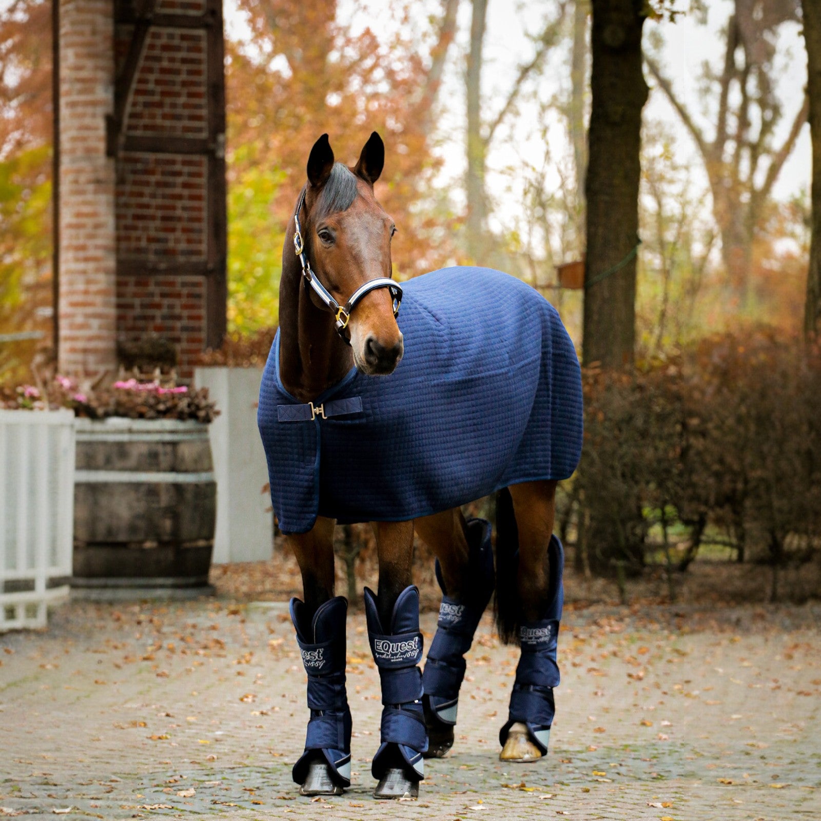 EQUEST Decke Climatherm III