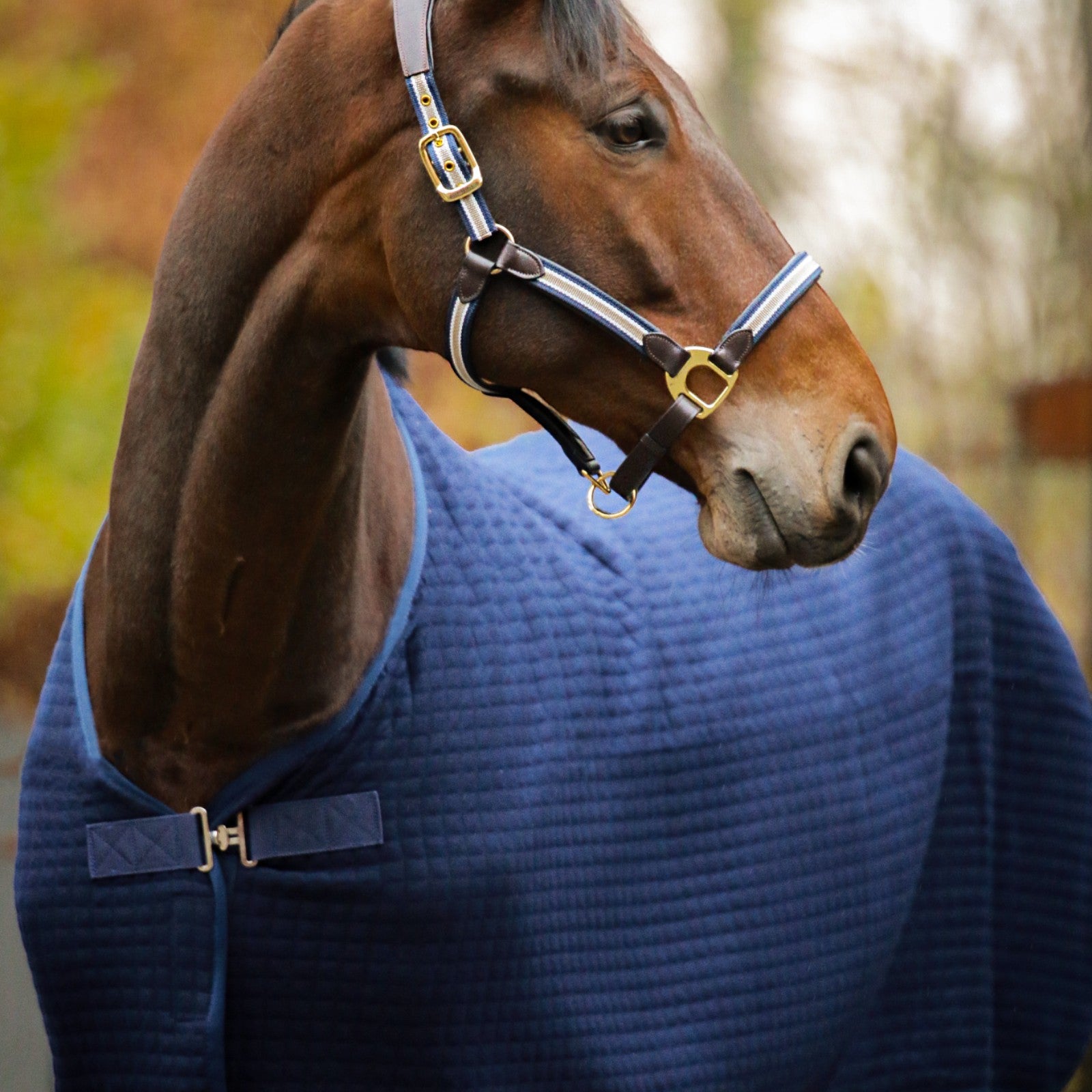 EQUEST Decke Climatherm III