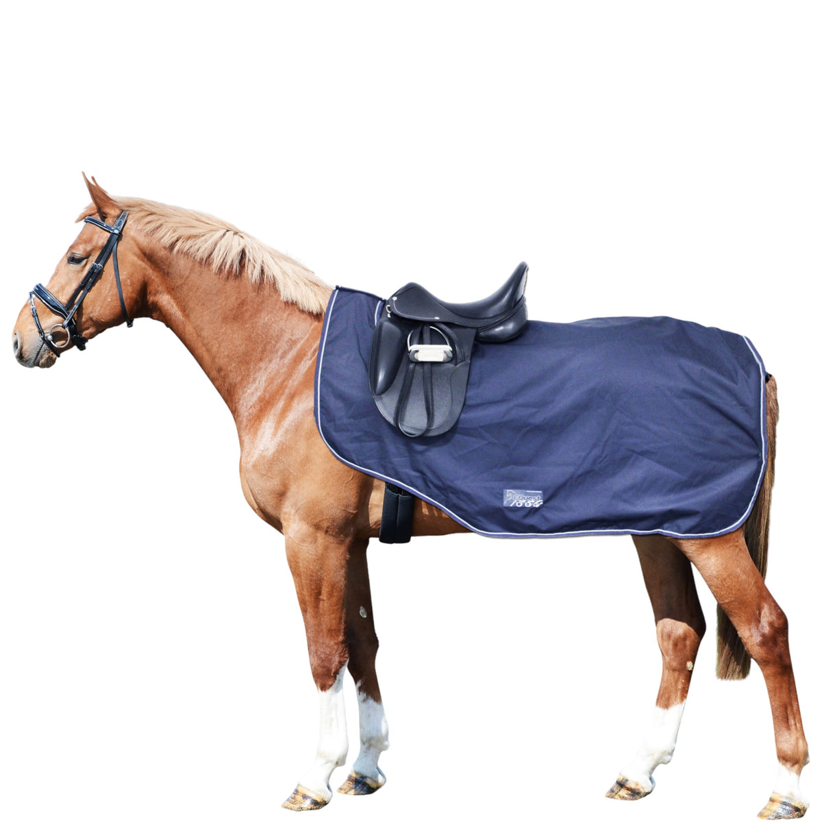 EQUEST Outdoordecke Kingston Active 600 D Fleece