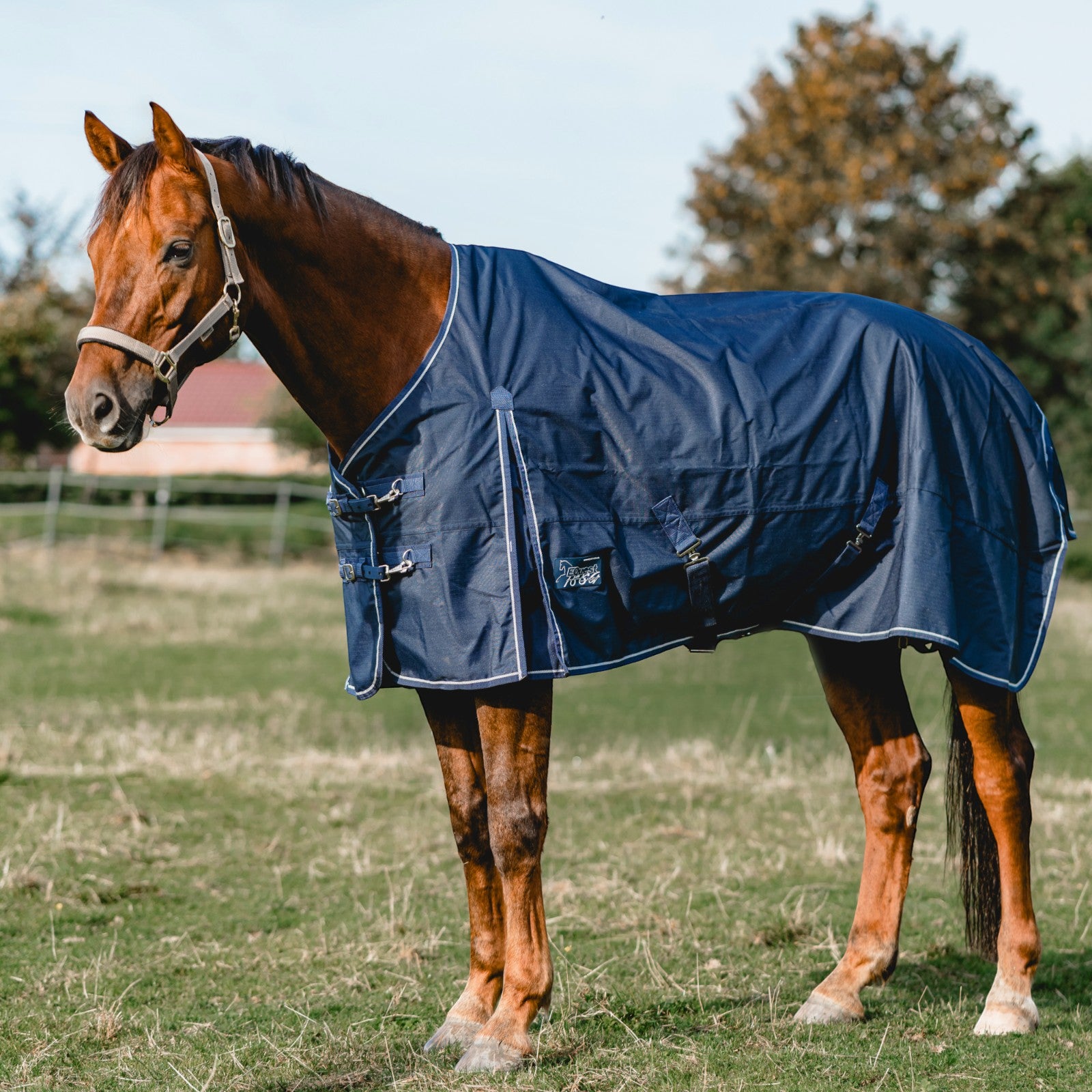 EQUEST Outdoordecke Kingston