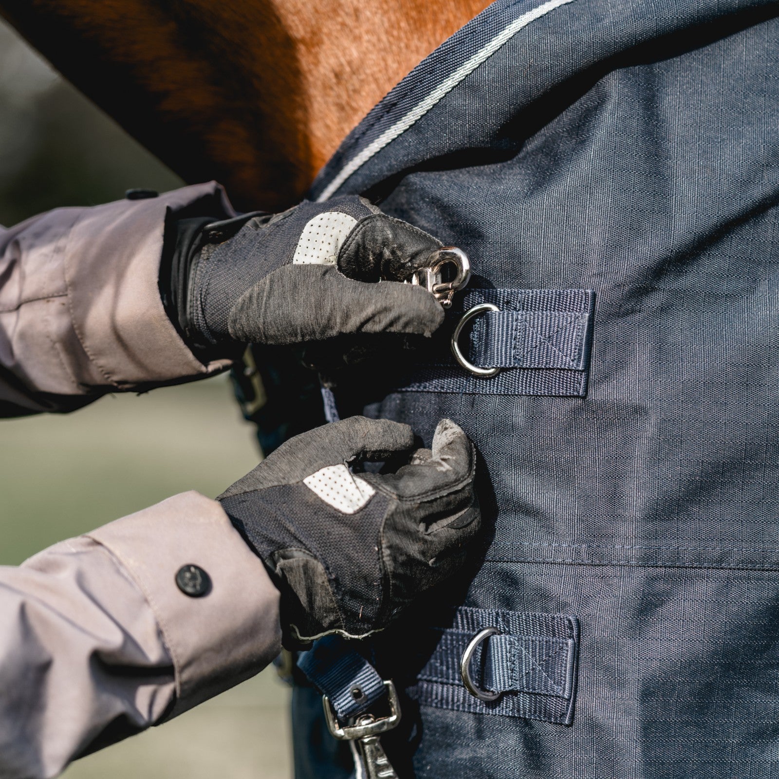 EQUEST Outdoordecke Kingston