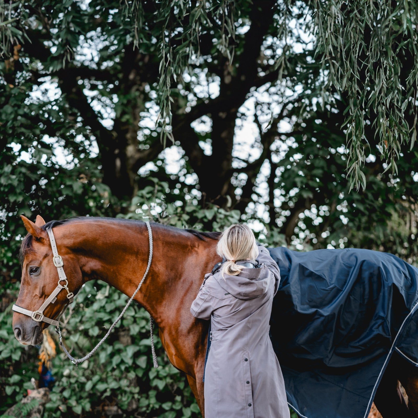 EQUEST Outdoordecke Kingston