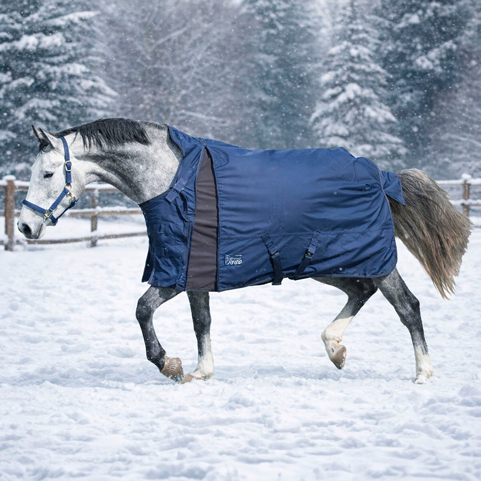 EQUEST Nova Scotia Outdoordecke 300 g/m² - EQUEST by Hoelscher
