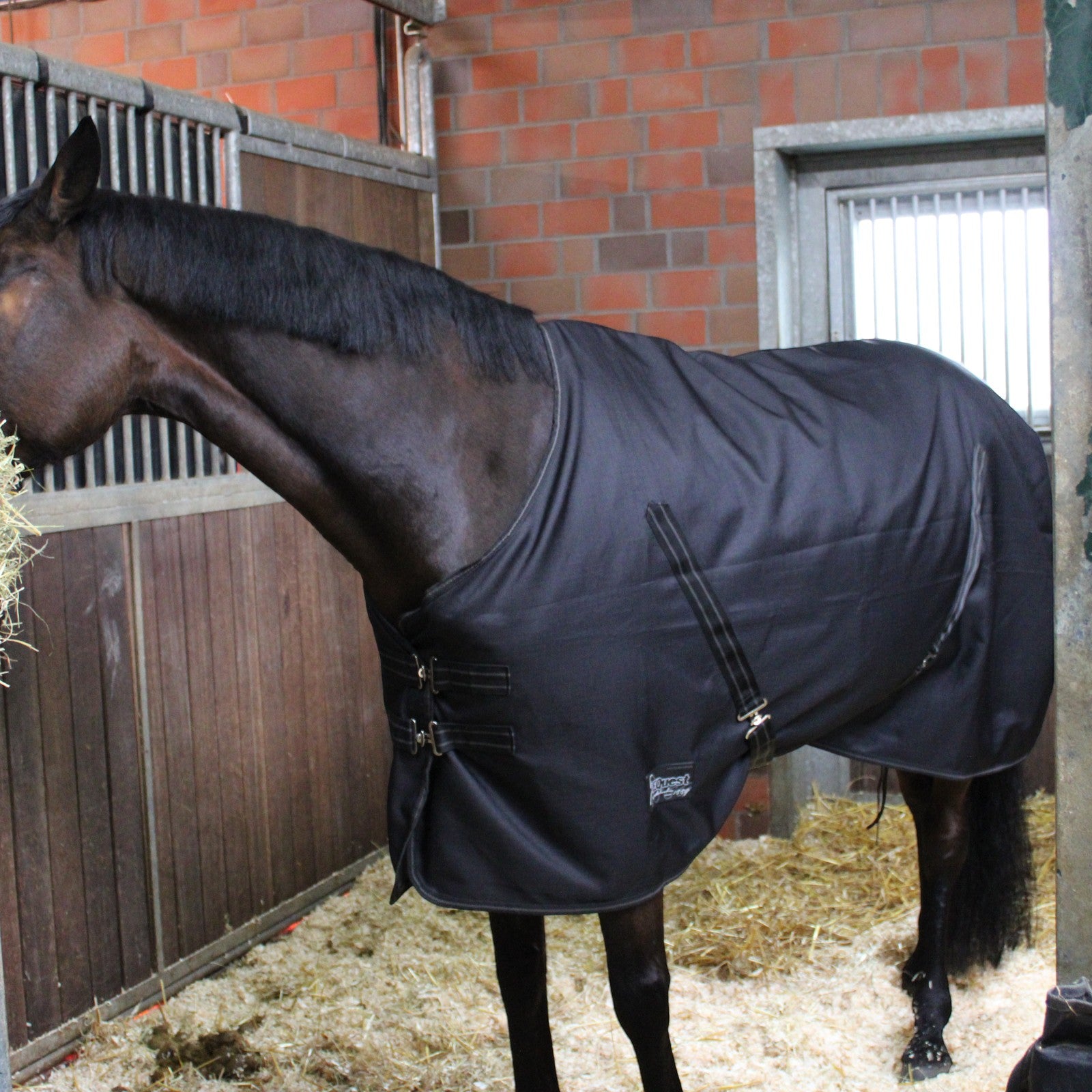 EQUEST Stalldecke Ottawa