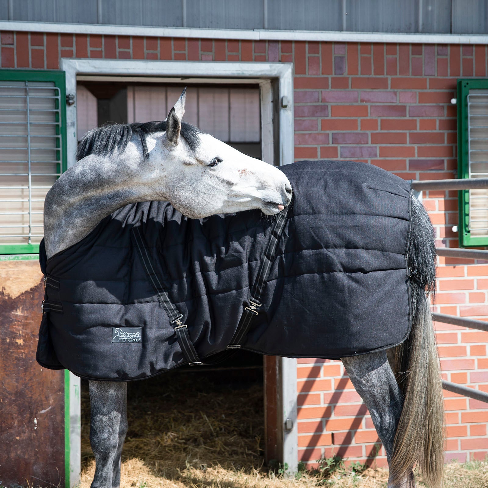 EQUEST Stalldecke Ottawa 400g - EQUEST by Hoelscher