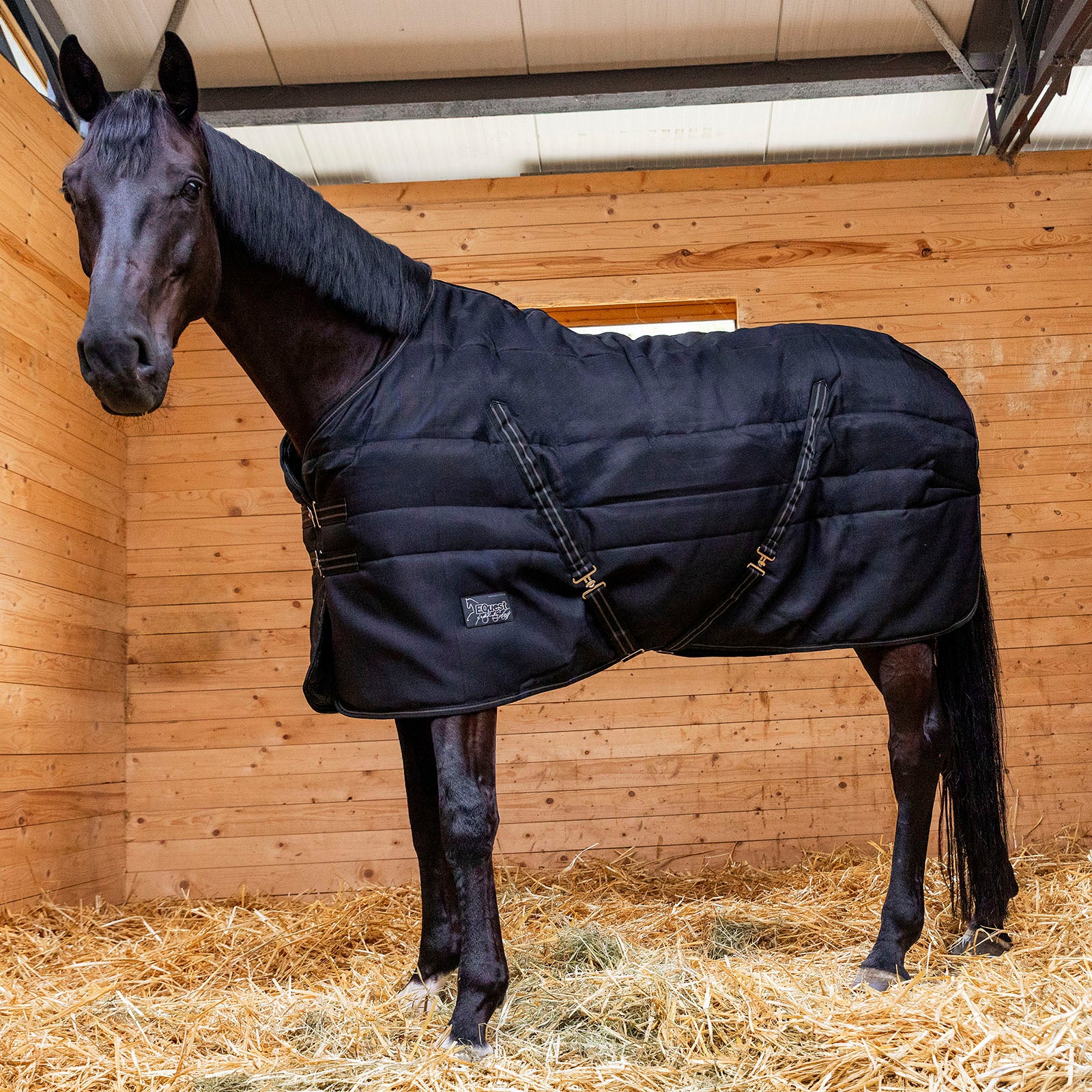 EQUEST Stalldecke Ottawa 400g - EQUEST by Hoelscher