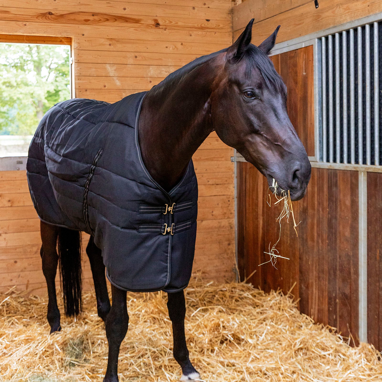 EQUEST Stalldecke Ottawa 400g - EQUEST by Hoelscher